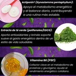 Lemme Burn - Quemador de grasa - Despierta tu AMPK natural y dile adiós a la grasa abdominal