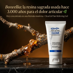 ClearZal Pain Relieving Gel | Crioterapia Refrescante Topical | Con Boswellia, Glucosamina e Ilex | Para Músculos y Articulaciones | 30 ml