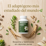 Rhodiola Rosea Floraviva | Adaptógeno Natural para Estrés, Ansiedad y Fatiga Mental | Energía Sostenida + Claridad Mental | 60 Cápsulas