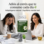 Rhodiola Rosea Floraviva | Adaptógeno Natural para Estrés, Ansiedad y Fatiga Mental | Energía Sostenida + Claridad Mental | 60 Cápsulas