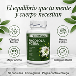 Rhodiola Rosea Floraviva | Adaptógeno Natural para Estrés, Ansiedad y Fatiga Mental | Energía Sostenida + Claridad Mental | 60 Cápsulas