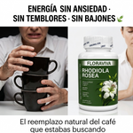 Rhodiola Rosea Floraviva | Adaptógeno Natural para Estrés, Ansiedad y Fatiga Mental | Energía Sostenida + Claridad Mental | 60 Cápsulas